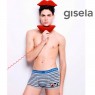 Boxer Gisela 0149 rayas